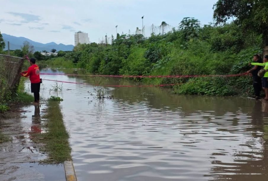 Reportan cocodrilo en Mojoneras; Protección Civil acordona la calle Guanajuato