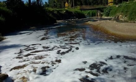 Denuncian que basureros contaminan río Milpillas en Zapopan