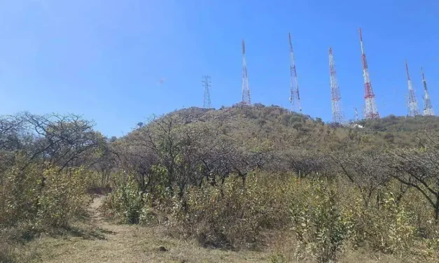 Blindarán legalmente el Cerro del Cuatro; estudio científico busca impedir nuevos desarrollos inmobiliarios