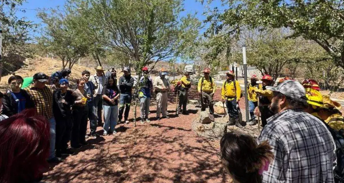 Recuperación del Cerro del Cuatro avanza con primera etapa de restauración forestal impulsada por la UdeG