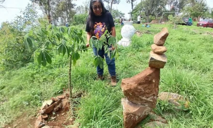 Comunidad impulsa nueva reforestación para proteger el Cerro de la Reina y frenar su privatización