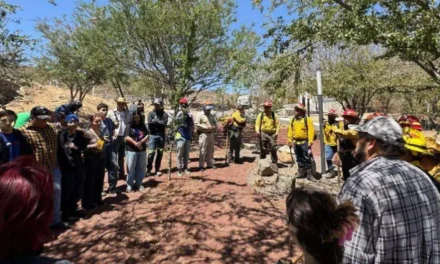 Recuperación del Cerro del Cuatro avanza con primera etapa de restauración forestal impulsada por la UdeG