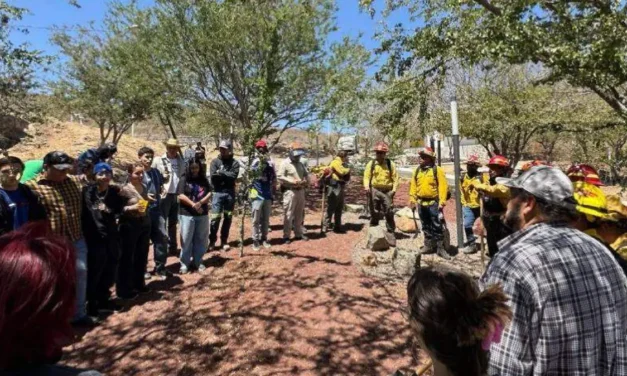 Recuperación del Cerro del Cuatro avanza con primera etapa de restauración forestal impulsada por la UdeG