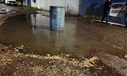 Por presunta contaminación de calles y drenaje, clausuran empresa en El Salto