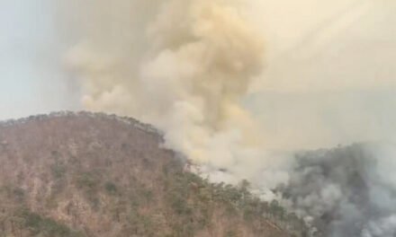 Bosque de La Primavera tuvo menos incendios durante el estiaje