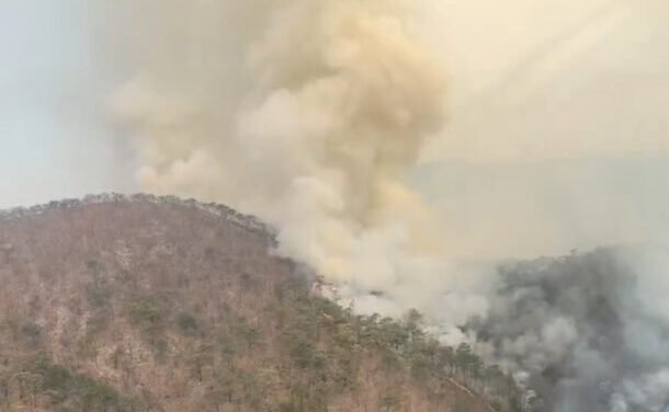 Bosque de La Primavera tuvo menos incendios durante el estiaje