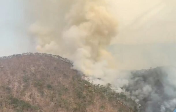 Bosque de La Primavera tuvo menos incendios durante el estiaje