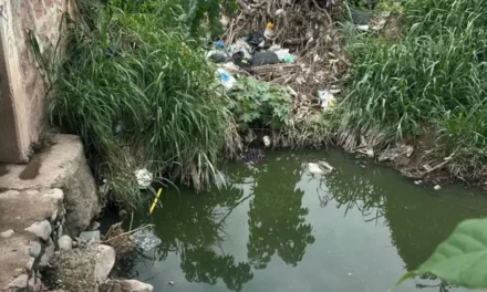 Denuncian foco de contaminación cerca del Tuki Parque del Pitillal, en Puerto Vallarta