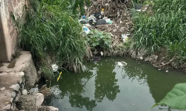 Denuncian foco de contaminación cerca del Tuki Parque del Pitillal, en Puerto Vallarta