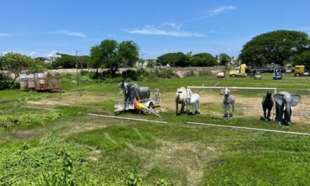 Colonos de Paseo de la Ribera denuncian invasión de área verde en Puerto Vallarta
