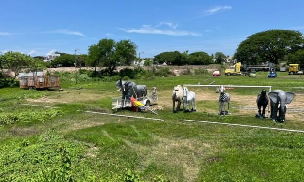 Colonos de Paseo de la Ribera denuncian invasión de área verde en Puerto Vallarta