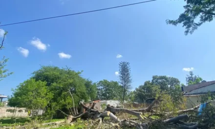 Denuncian abandono del parque Ojo de Agua en Puerto Vallarta