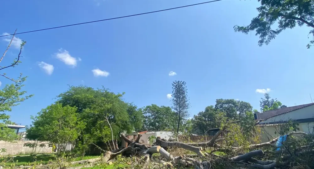 Denuncian abandono del parque Ojo de Agua en Puerto Vallarta