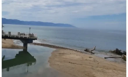 Proteger playas de Puerto Vallarta exige más que limpiezas