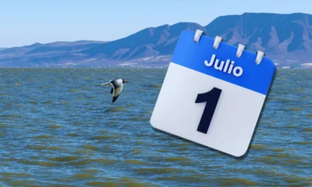 Así recibe julio el Lago de Chapala; tiene niveles sorprendentes