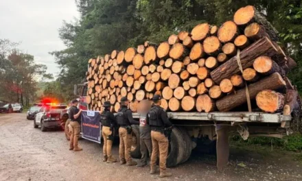 Aseguran cargamento de madera en Gómez Farías