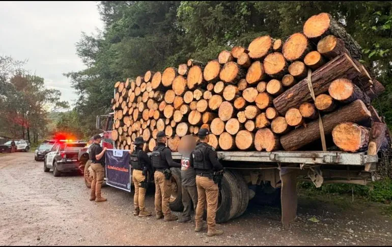 Aseguran cargamento de madera en Gómez Farías