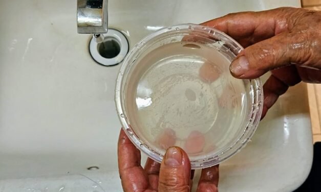 Siapa sabía desde 2025 de agua sucia