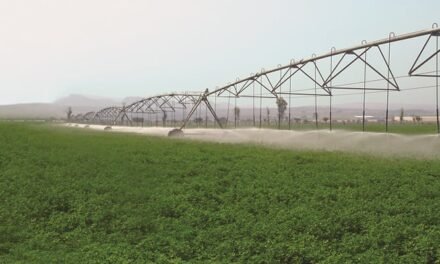 Amplían regularización de concesiones de agua