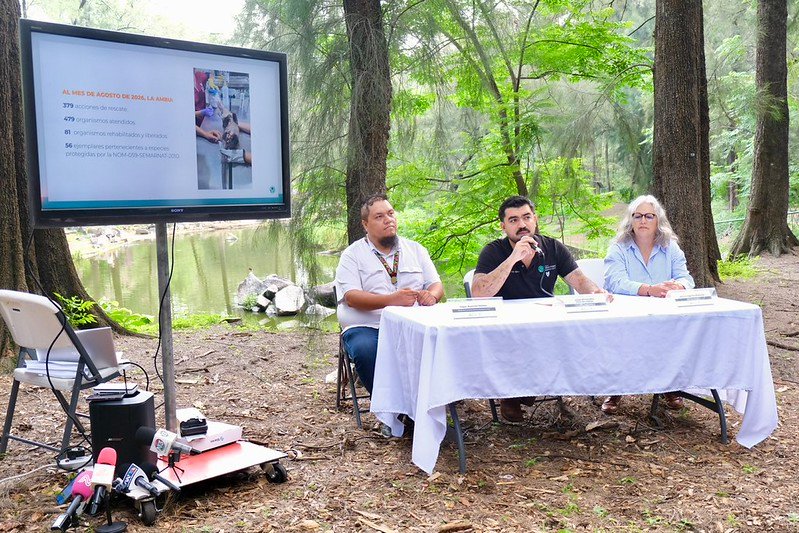 AMBU LLAMA A PROTEGER LA FAUNA SILVESTRE Y EVITAR SU CAPTURA O ABANDONO
