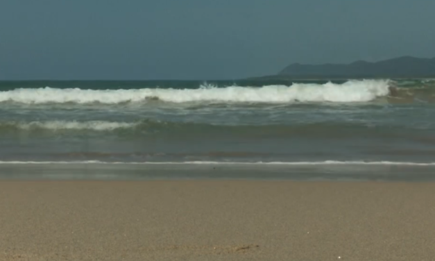 Restringen acceso en 5 playas de Vallarta por presencia de cocodrilos