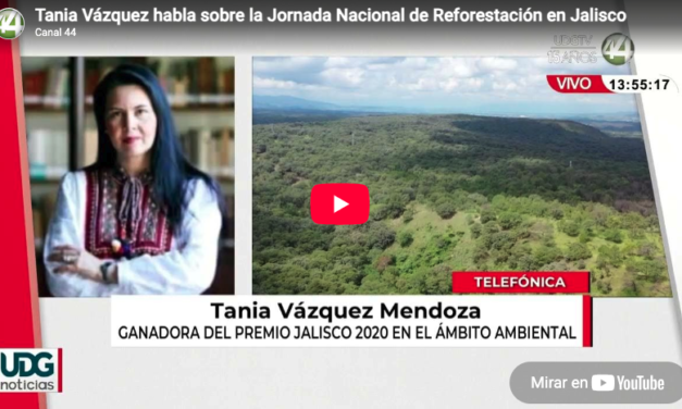 Tania Vázquez habla sobre la Jornada Nacional de Reforestación en Jalisco
