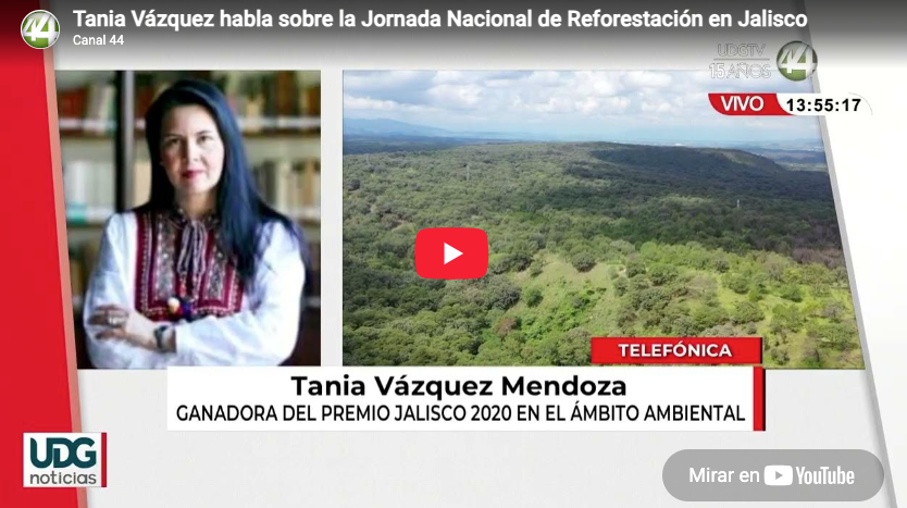 Tania Vázquez habla sobre la Jornada Nacional de Reforestación en Jalisco