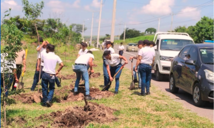 Reforestan laterales de Circuito Metropolitano entre Cuexcomatitlán y Cajititlán