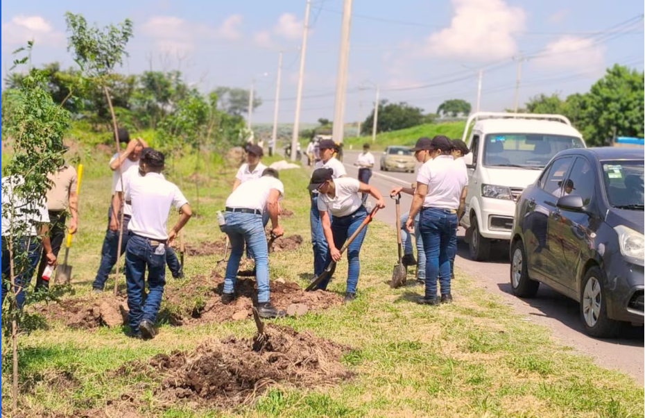 Reforestan laterales de Circuito Metropolitano entre Cuexcomatitlán y Cajititlán
