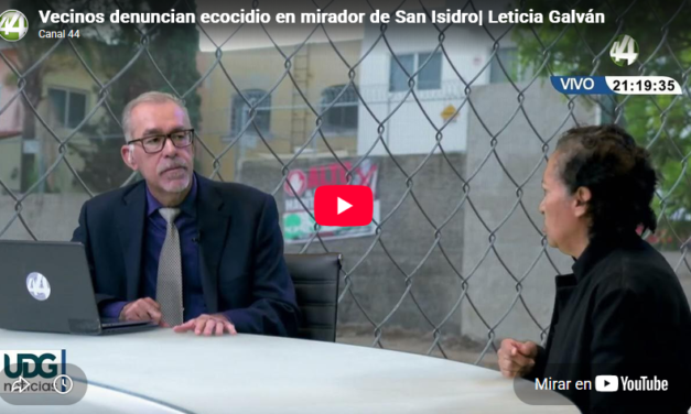 Vecinos denuncian ecocidio en mirador de San Isidro| Leticia Galván