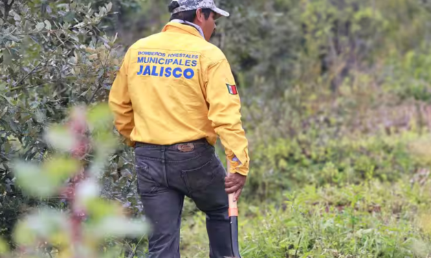¿Cómo recuperará Jalisco los bosques de Tapalpa dañados por incendios?