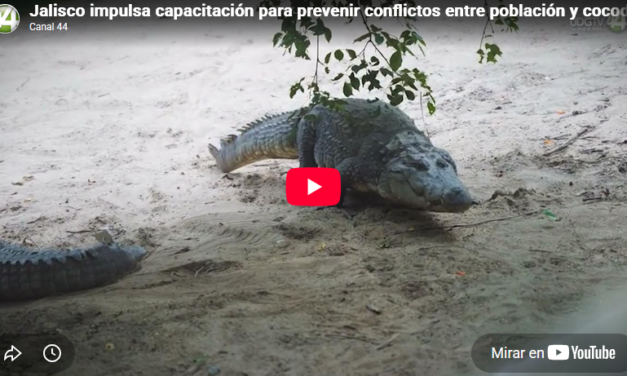 Jalisco impulsa capacitación para prevenir conflictos entre población y cocodrilos
