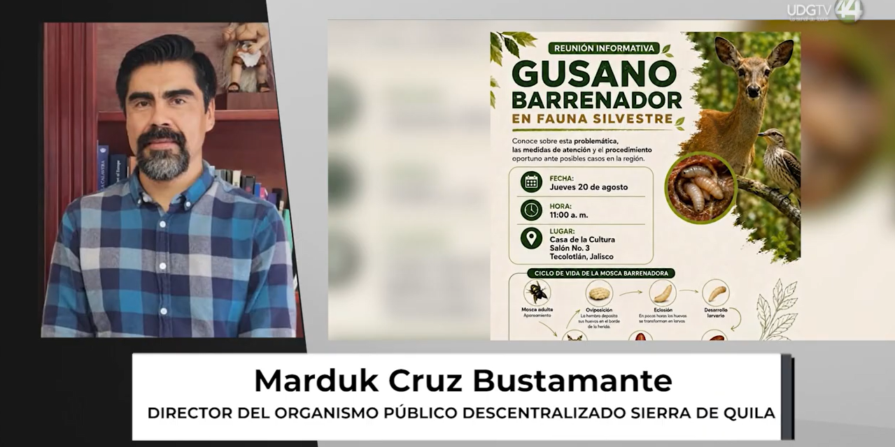 Alertan por posible presencia de gusano barrenador en fauna silvestre de la Sierra de Quila