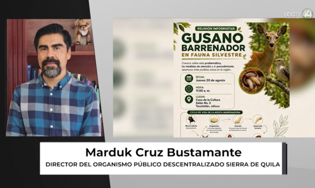 Alertan por posible presencia de gusano barrenador en fauna silvestre de la Sierra de Quila