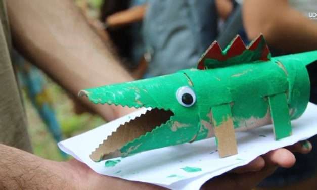 Amplia participación en el primer Festival de los Cocodrilos en Puerto Vallarta