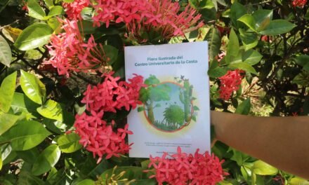 Más que verde: documentan 170 especies que viven en el CUCosta