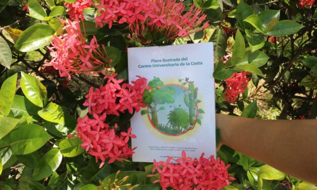 Más que verde: documentan 170 especies que viven en el CUCosta