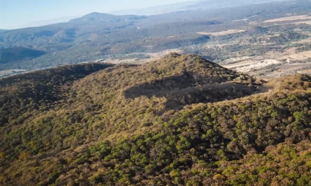 Buscan que El Tepopote sea Área Natural Protegida