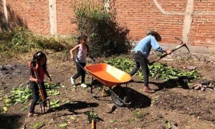 Organizaciones lanzan convocatoria para colectivas agroecológicas de mujeres