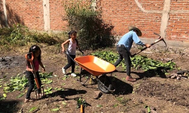 Organizaciones lanzan convocatoria para colectivas agroecológicas de mujeres