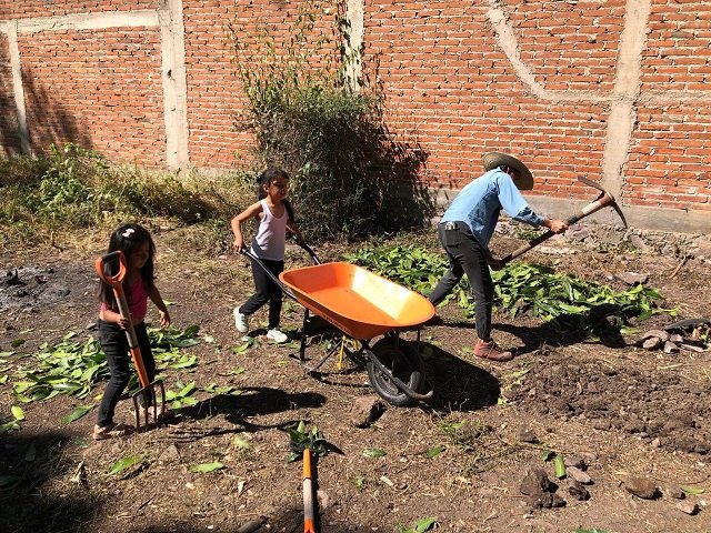 Organizaciones lanzan convocatoria para colectivas agroecológicas de mujeres