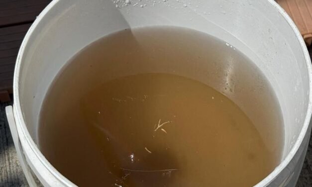 SIAPA reduce colonias «beneficiadas» con descuento por agua turbia: serán sólo 203