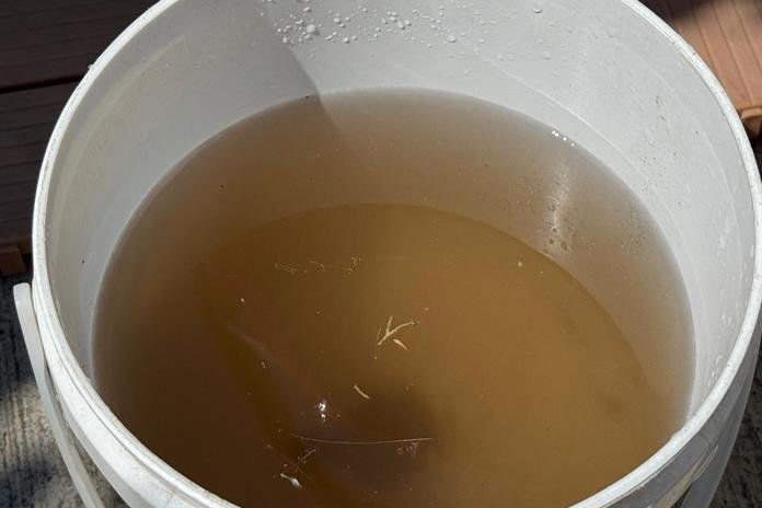 SIAPA reduce colonias «beneficiadas» con descuento por agua turbia: serán sólo 203