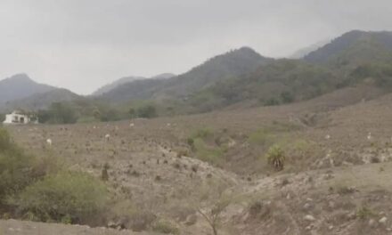 Canícula en Puerto Vallarta; el calor subirá a 39 grados en Bahía de Banderas