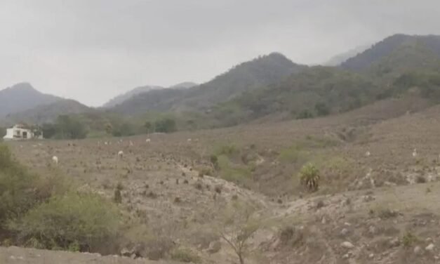Canícula en Puerto Vallarta; el calor subirá a 39 grados en Bahía de Banderas