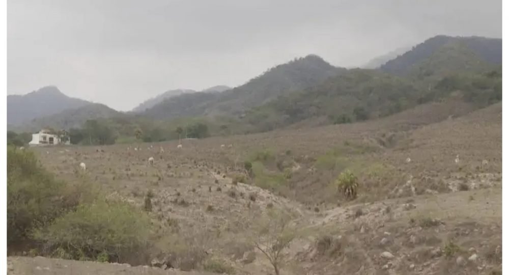 Canícula en Puerto Vallarta; el calor subirá a 39 grados en Bahía de Banderas