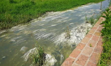 Supervisan zonas de la cuenca de El Ahogado para frenar rellenos e invasiones