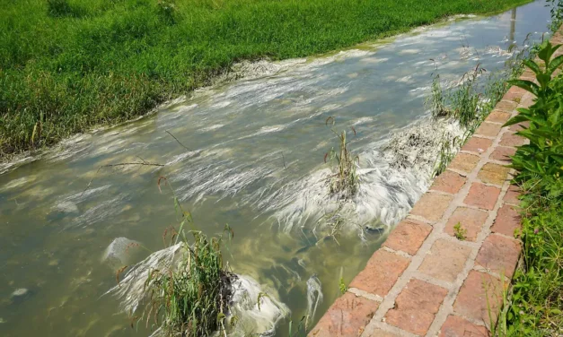 Supervisan zonas de la cuenca de El Ahogado para frenar rellenos e invasiones