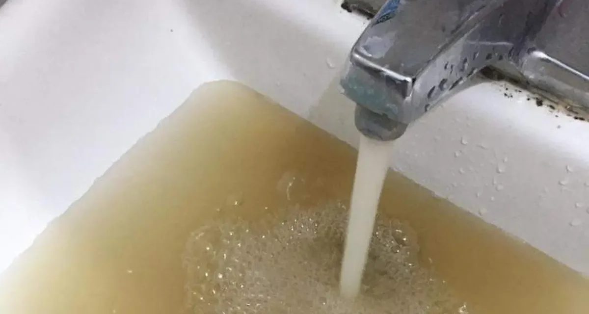 Diarreas y agua sucia: Jalisco desconoce el alcance de la exposición fecal