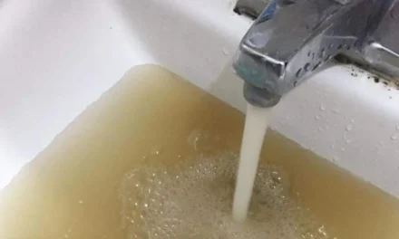 Diarreas y agua sucia: Jalisco desconoce el alcance de la exposición fecal